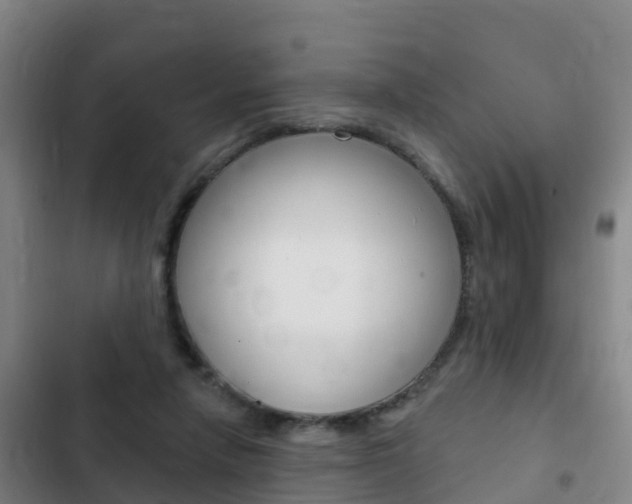 X0000103230258200808280957