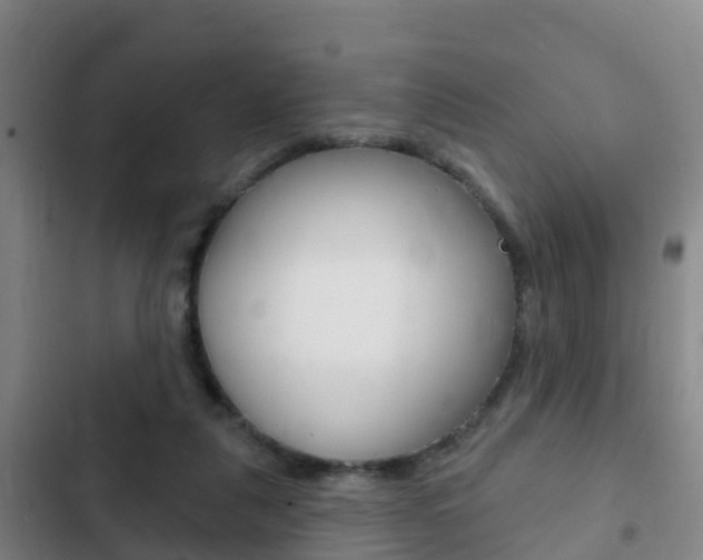 X0000103230259200808280957