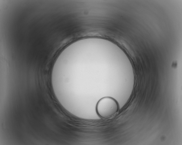 X0000103230260200808280957