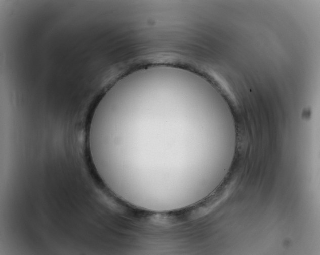 X0000103230261200808280957