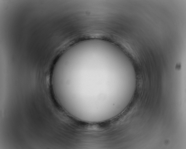 X0000103230262200808280957