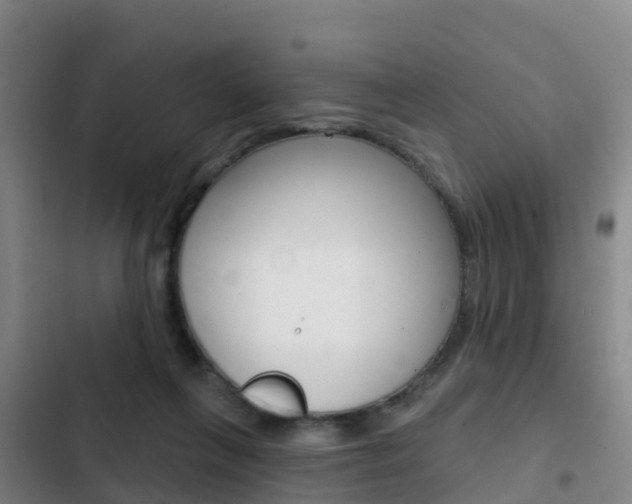 X0000103230263200808280957
