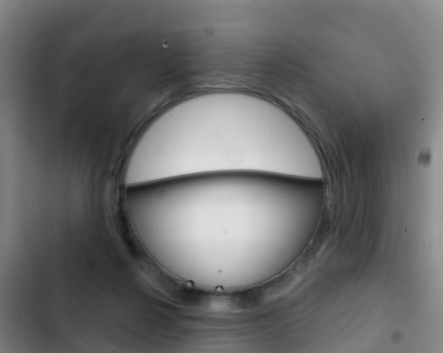 X0000103230264200808280957