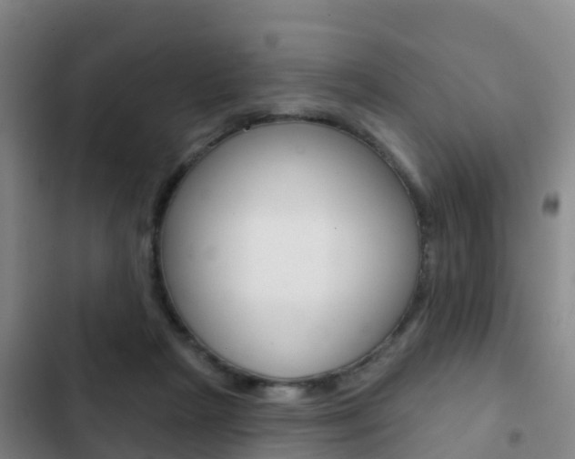 X0000103230265200808280957