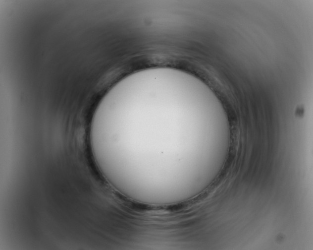 X0000103230266200808280957