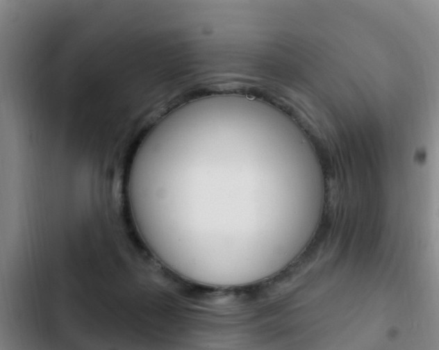 X0000103230267200808280957