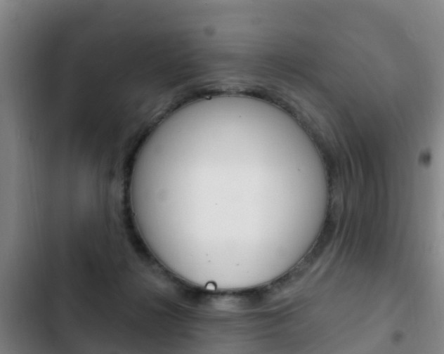 X0000103230268200808280957