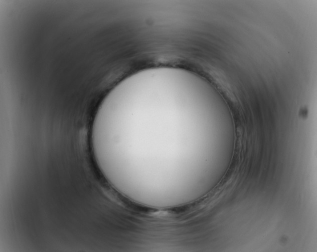 X0000103230269200808280957