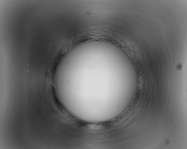 X0000103230272200808280957