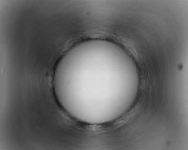 X0000103230273200808280957