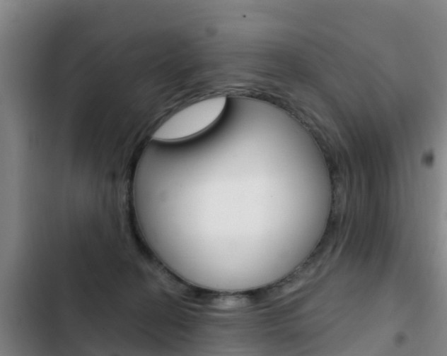 X0000103230274200808280957