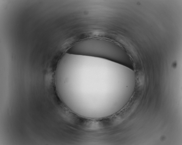 X0000103230276200808280957