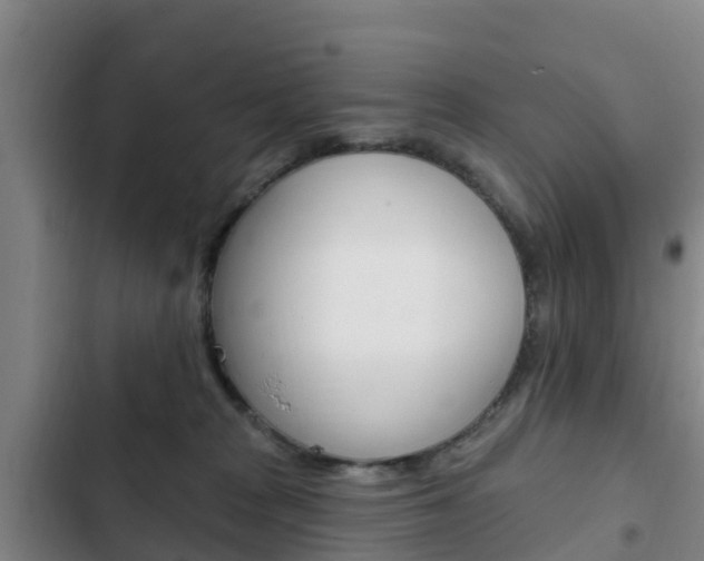 X0000103230277200808280957