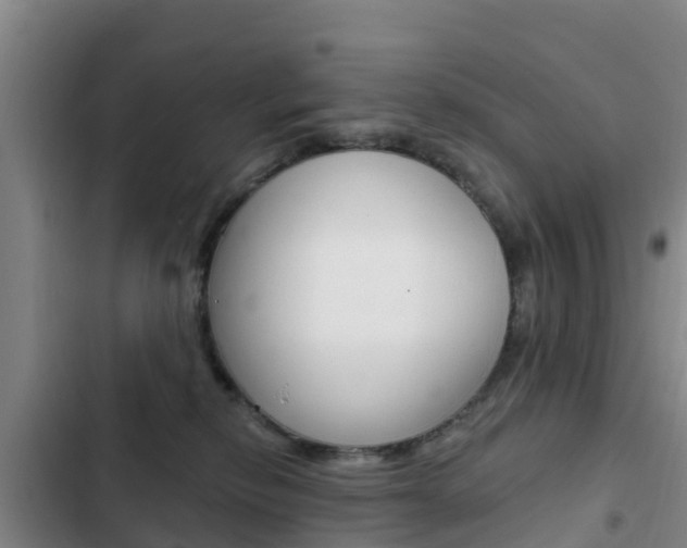 X0000103230278200808280957