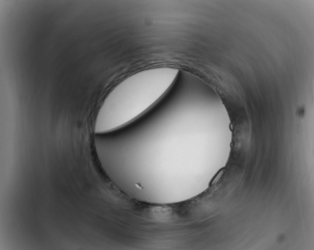 X0000103230279200808280957