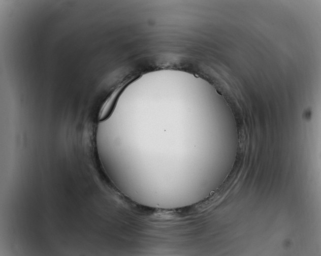 X0000103230280200808280957