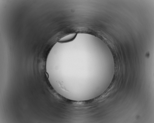 X0000103230281200808280957