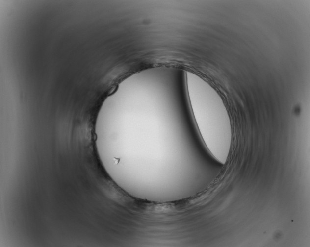 X0000103230282200808280957