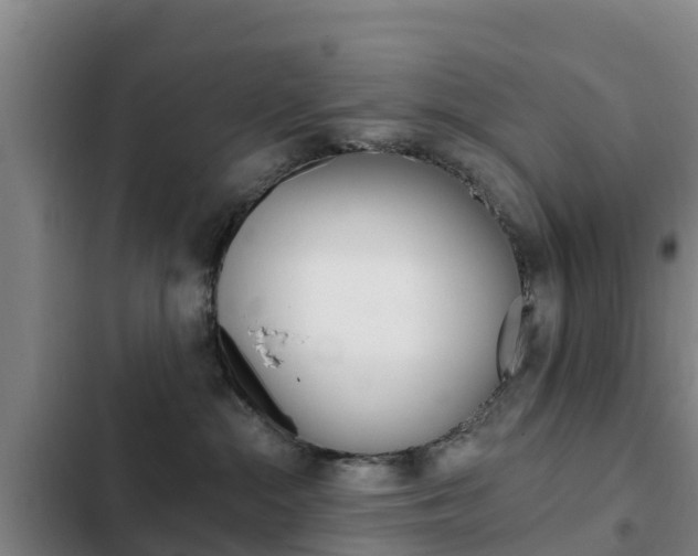 X0000103230284200808280957