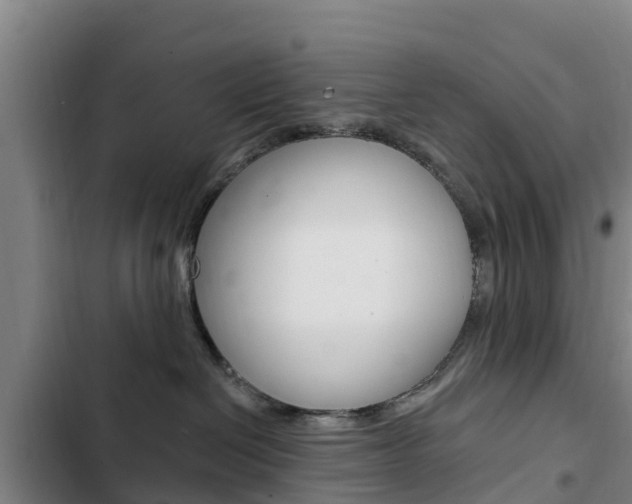 X0000103230286200808280957