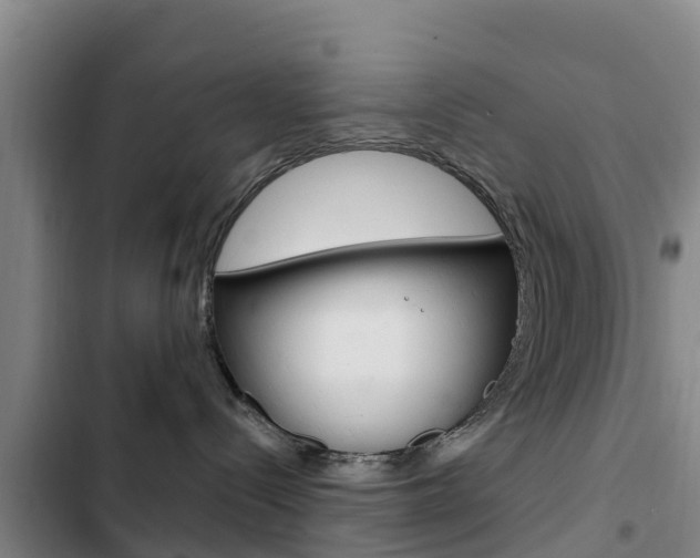 X0000103230288200808280957