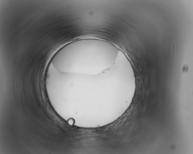 X0000103230289200808280957