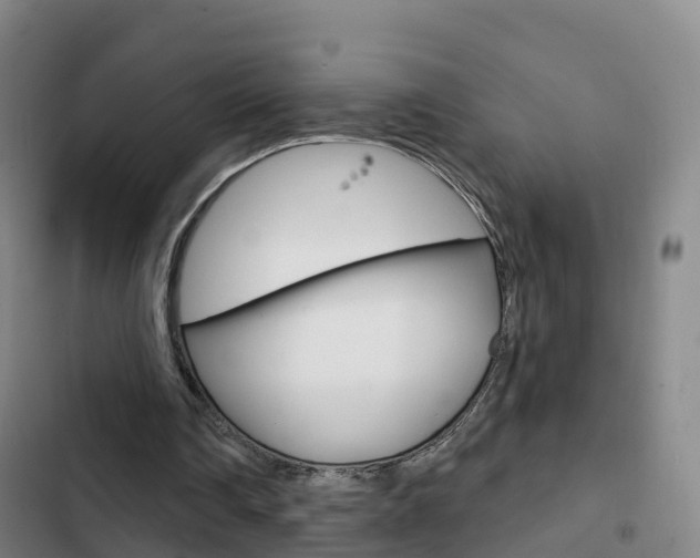 X0000103230290200808280957