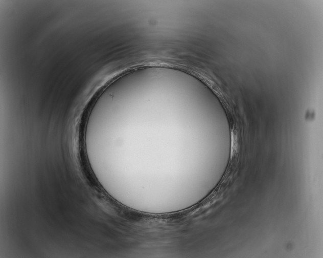 X0000103230291200808280957