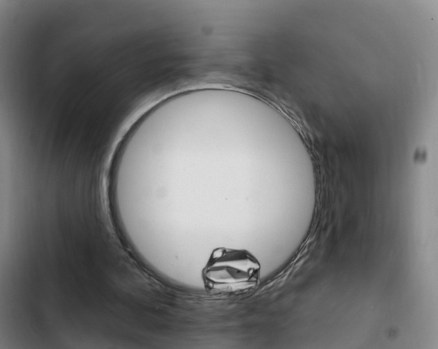 X0000103230292200808280956