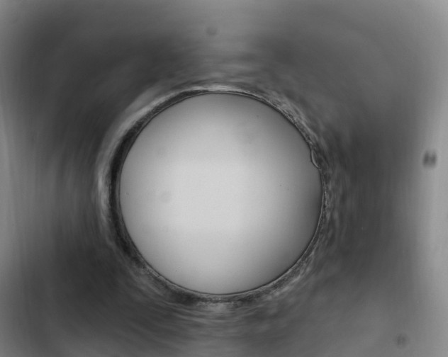 X0000103230295200808280956