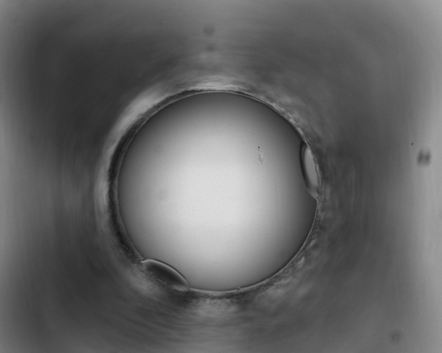 X0000103230296200808280956
