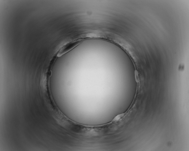 X0000103230297200808280956