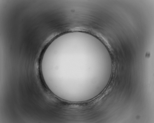 X0000103230298200808280956