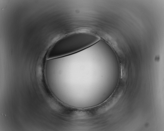 X0000103230300200808280956