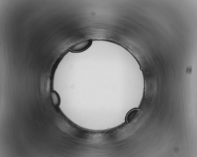 X0000103230301200808280956