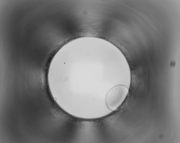 X0000103230302200808280956