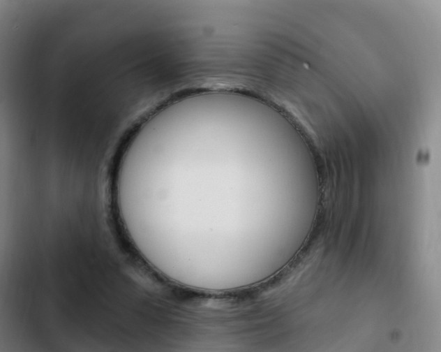 X0000103230303200808280956