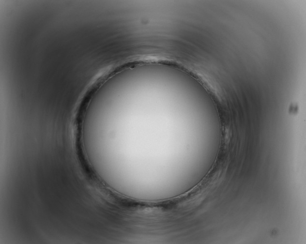 X0000103230304200808280956