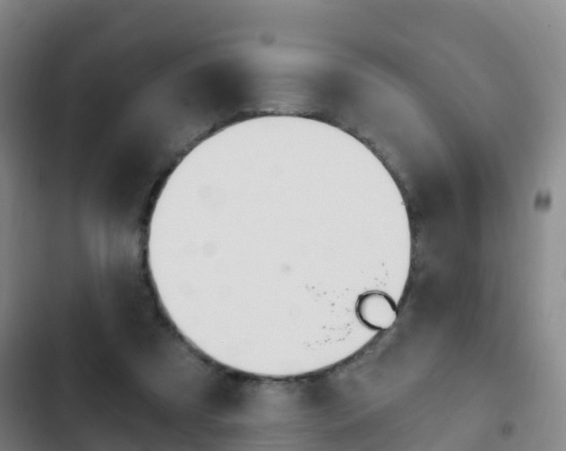 X0000103230305200808280956