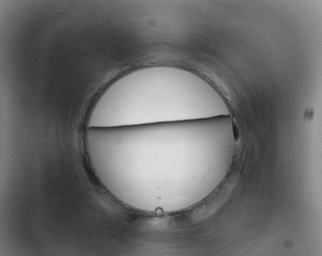 X0000103230306200808280956