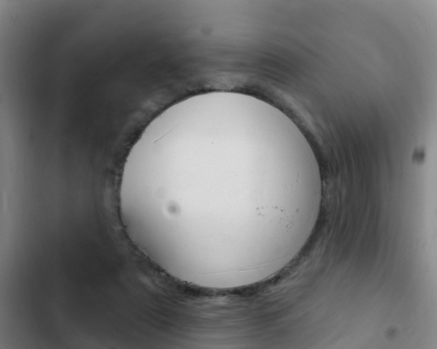 X0000103230307200808280956