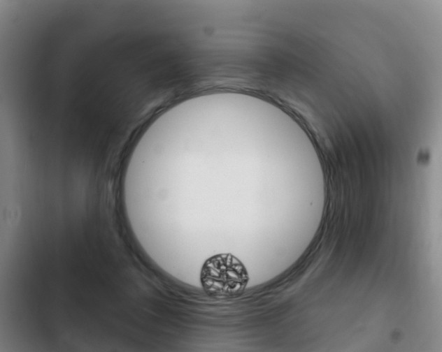 X0000103230308200808280956
