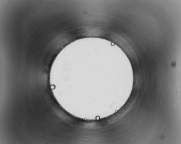 X0000103230309200808280956
