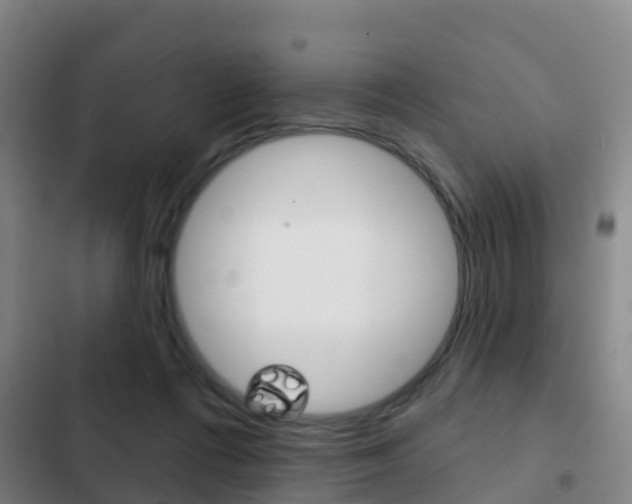 X0000103230312200808280956