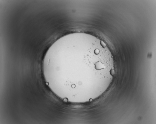 X0000103230313200808280956