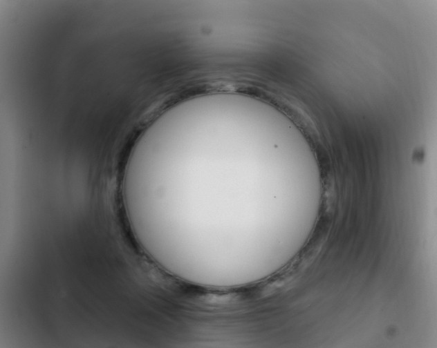 X0000103230314200808280956