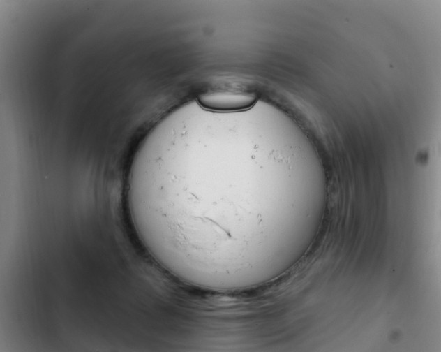 X0000103230315200808280956