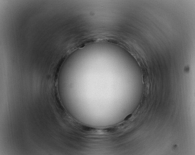 X0000103230316200808280956