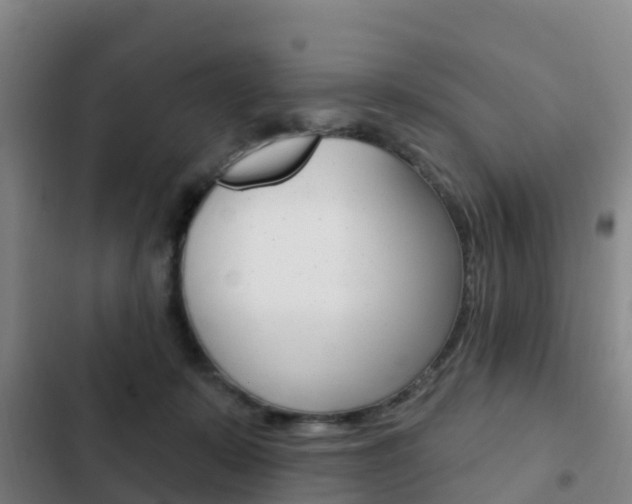 X0000103230319200808280956