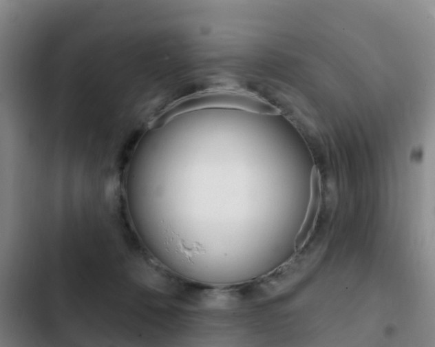 X0000103230320200808280956